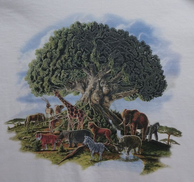 アニマルキングダム Animal kingdom ディズニー Tシャツ XL